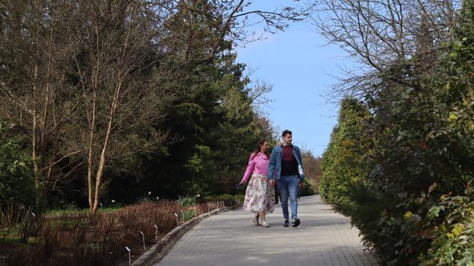 Ogród Botaniczny w Lublinie otwarty! Wszędzie widać wiosnę
