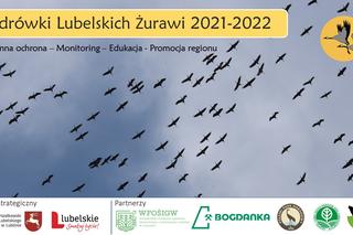 Lubelskie żurawie w podróży po Europie