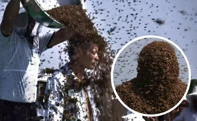 Ile pszczół zmieści się na ciele człowieka?