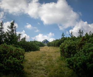 Najlepszy szlak w Karkonoszach dla rodzin z dziećmi. Malowniczy wąwóz, wodospad i słynna hala 