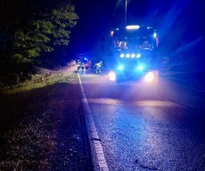 Drzewo runęło na jadący samochód! O krok od tragedii na DK 10 pod Bydgoszczą