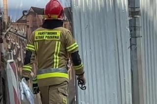 Gnijące zwłoki w głębokiej dziurze! Makabra na Pradze, na miejscu prokurator