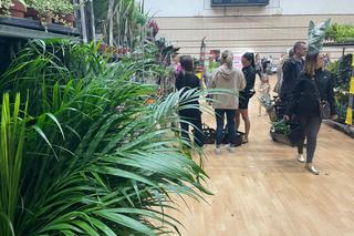 Wrześniowy Festiwal Roślin w Nowym Sączu