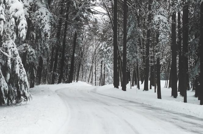 Sypnęło śniegiem. Trudne warunki na drogach, opóźnione autobusy