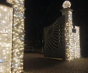 Iluminacje świetlne 2024 Gdańsk