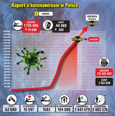 koronawirus w Polsce wykresy wirus Polska 1 3 3 2021
