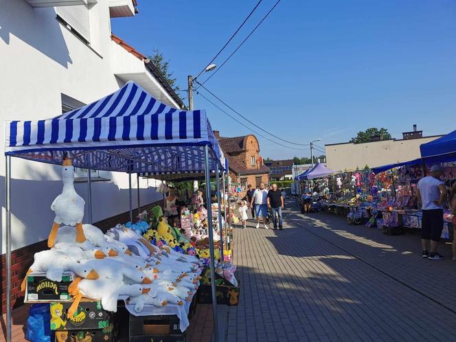 Święcili zwierzęta w Mikstacie!