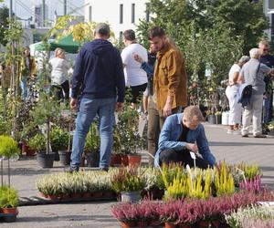 Jesienny Kiermasz Ogrodniczy 2023. Tłumy przy bydgoskim Torbydzie [ZDJĘCIA]