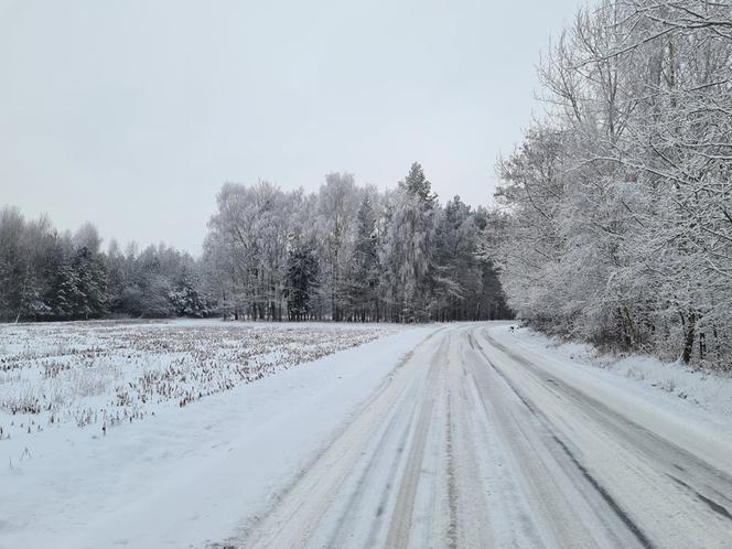 Zima na Podkarpaciu. Niezwykłe krajobrazy [ZDJĘCIA]