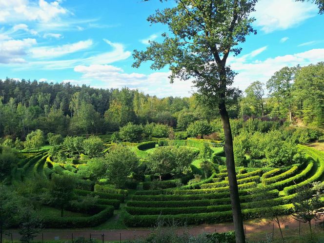 Arboretum Bramy Morawskiej zachwyca jesienią