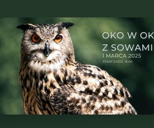 Oko w Oko z Sowami w Kazimierzu Dolnym [AUDIO]