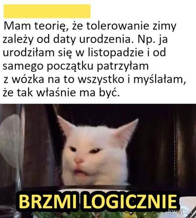 Jak zawsze zima przyszła z zaskoczenia. Zobacz MEMY o zszokowanych kierowcach i drogowcach