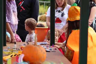 Nowa atrakcja w Lublinie dla dzieci! Farma dyń już działa