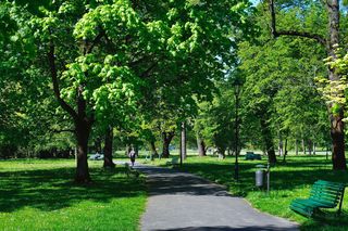 Park im. Henryka Jordana w Krakowie