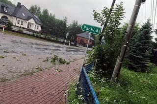 Skutki burz na Śląsku. Wiatr połamał drzewa, woda zalała domy