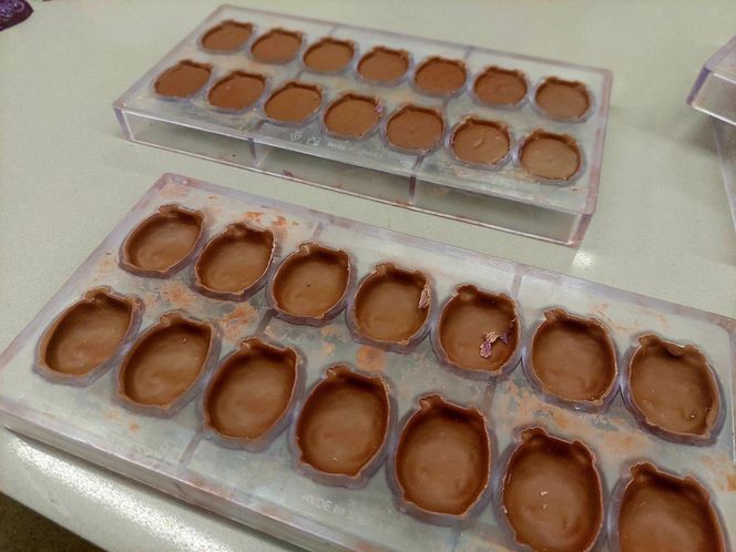 Cukiernia Sowa, linia produkcyjna