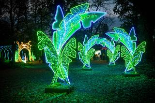 Pierwszy świetlny escape room w Polsce powstał w łódzkim parku Źródliska