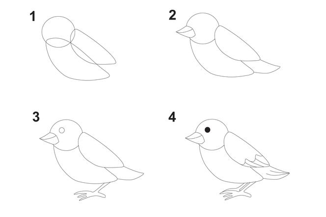 jak narysować ptaszka