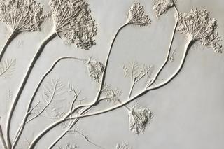 Roma Roman, Portrety Roślin