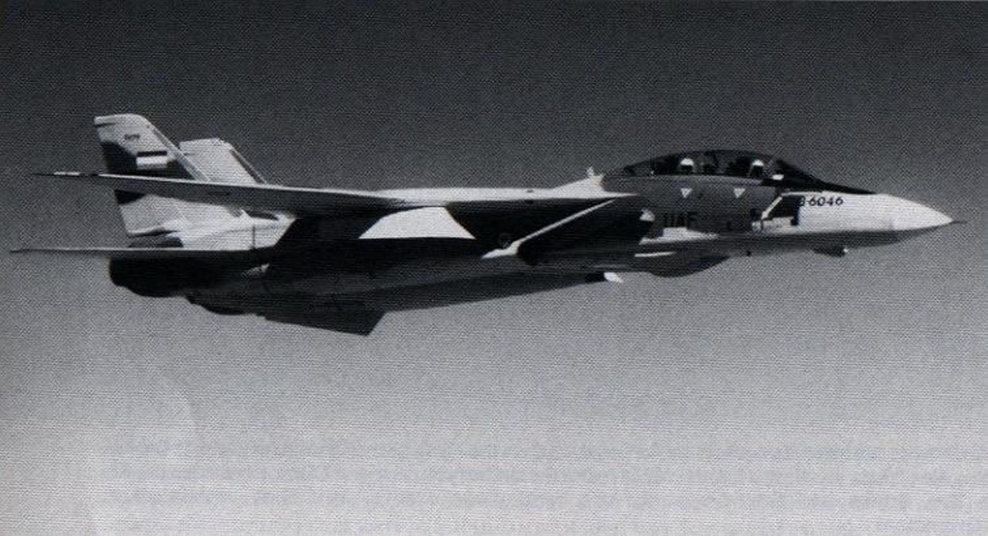 F-14 Tomcat