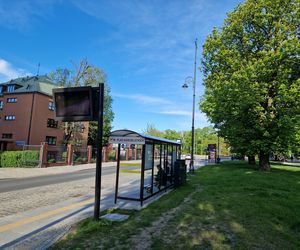 Plac Kościeleckich rozkwita na wiosnę. Bydgoszczanie chętnie wybierają go na spacer