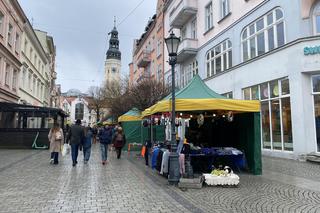 Kraszanka 2024 w Zielonej Górze