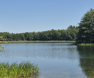 To jedno z największych jezior w Olsztynie. Kusi turystów piaszczystymi plażami