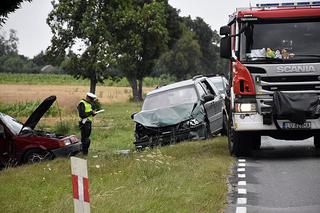 Dzieci jechały autem, zginęła 14-latka! MAKABRYCZNY wypadek na Lubelszczyźnie