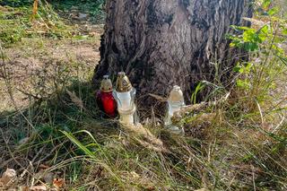 2-letni Grześ zginął w tragicznym wypadku! Jego ciężarna mama walczy o życie