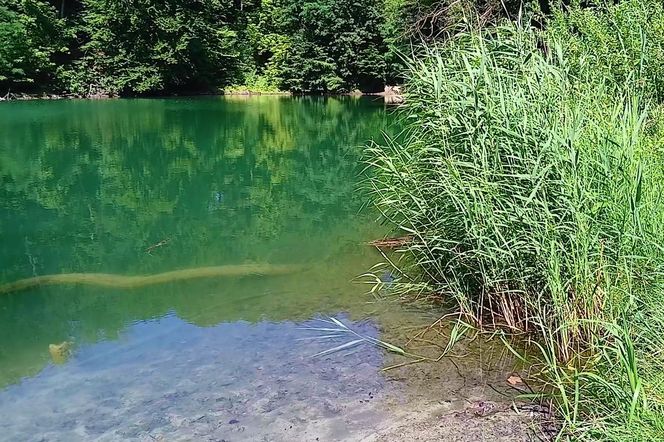 Jezioro Szmaragdowe w Szczecinie