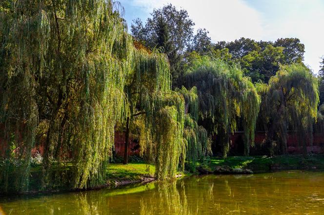 Park Fosa i Stoki Cytadeli w Warszawie