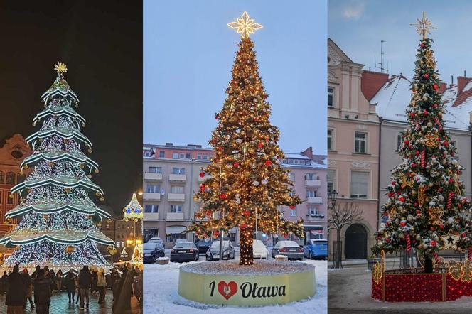 Świąteczne choinki na Dolnym Śląsku. W którym mieście jest najładniejsza?