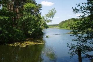 Nadleśnictwo Sieraków 