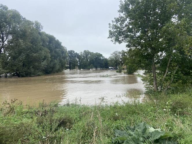 Ząbkowice Śląskie (woj. dolnośląskie)