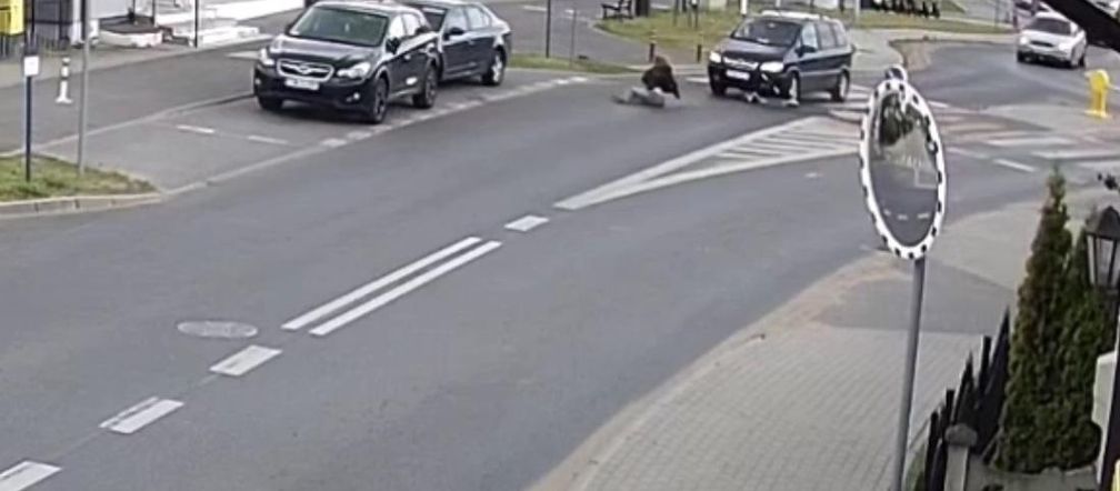14-latka przejeżdżała przez ulicę na hulajnodze elektrycznej. Wtedy uderzyło w nią auto