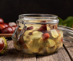 Nazbieraj kasztanów i przygotuj z nich nalewkę. Rozprawi się z żylakami i reumatyzmem