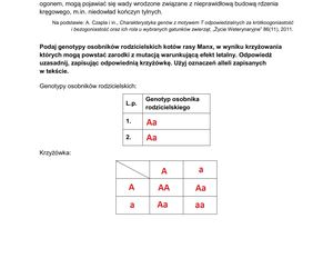Matura 2025 biologia rozszerzona: ODPOWIEDZI do wszystkich zadań, gotowe rozwiązania matury z biologii rozszerzonej - Formuła 2015 [9.05.2025]	