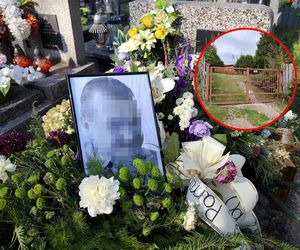 Tragedia podczas rodzinnej wycieczki. Krzysztof zmarł po użądleniu osy. Miał tyle planów