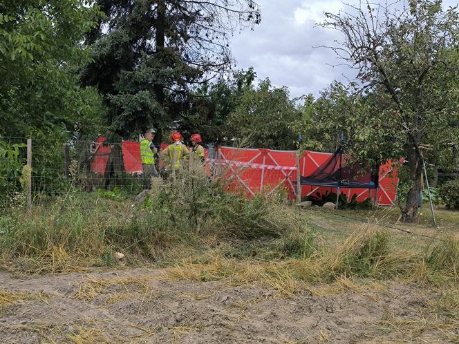 Awionetka spadła na ziemię w Wielkopolsce. Dwie osoby nie żyją