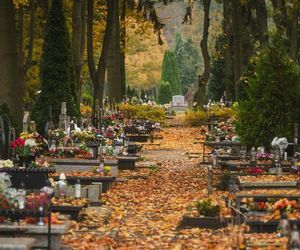 Koszty pogrzebów w Polsce wyższe niż w Niemczech? Tak wynika z nowego raportu WEI