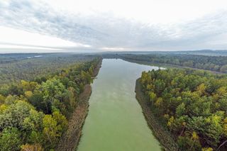 Zalew Sosina w Jaworznie. Raj dla miłośników sportów wodnych i relaksu na łonie natury