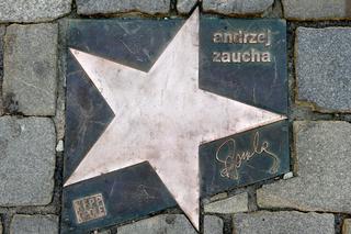 Zastrzelił go mąż kochanki. Mija 31 lat od tragicznej śmierci słynnego piosenkarza Andrzeja Zauchy