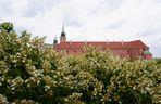 Ukryty ogród w Warszawie