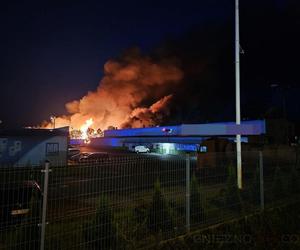 Gigantyczny pożar w Gnieźnie! Płonie stolarnia, płomienie sięgają kilkudziesięciu metrów. Przerażający widok