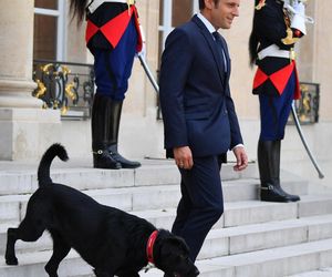 Prawda o Macronie ujawniona! Nie zgadniesz, co kupuje hurtowo perfumy i zlewa się nimi w hurtowych ilościach