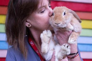 Fundacja Ada walczy o byt