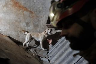 Strażacy z sekcji poszukiwawczej szukają ochotników. W OSP RW Modlin trwa nabór 