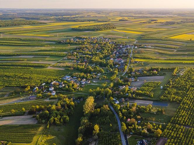 Ekologiczne podróżowanie. Jak zwiedzać świat bardziej ekologicznie i etycznie?