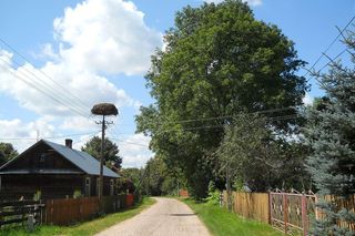 Puchły w woj. podlaskim