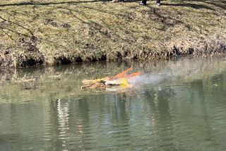 Lublinianie pożegnali zimę i powitali wiosnę! W Ogrodzie Botanicznym odbyło się topienie Śmiercichy